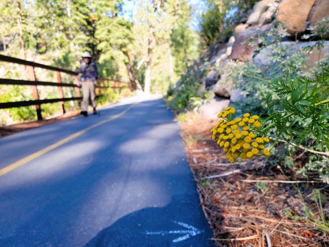 Mary West: Truckee River Trail | Lifestyles | theunion.com