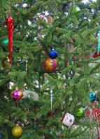 Melinda Myers: Selecting and keeping your Christmas tree looking its best