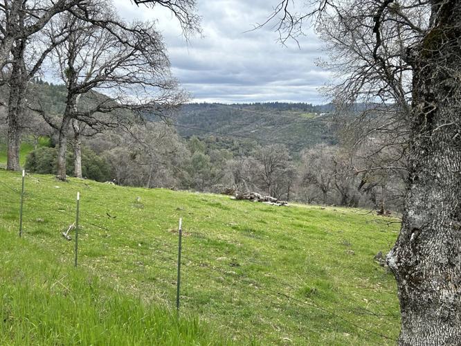 Supervisors to consider Williamson Act contracts and hear presentation ...