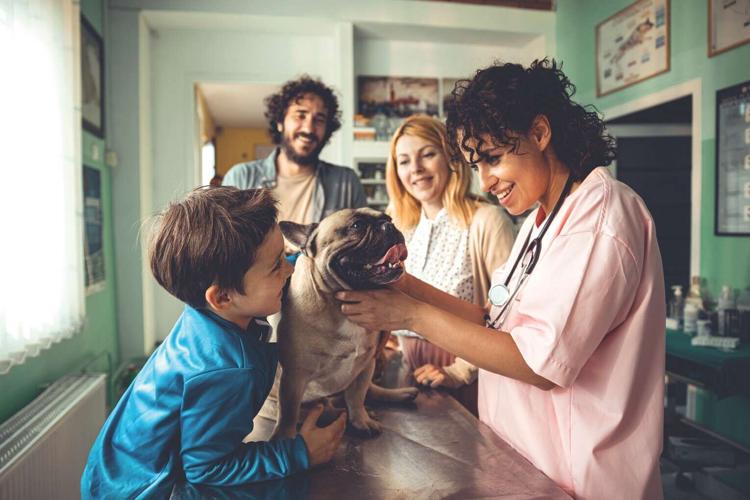 Joan Merriam: CBD for your dog — help or hype?