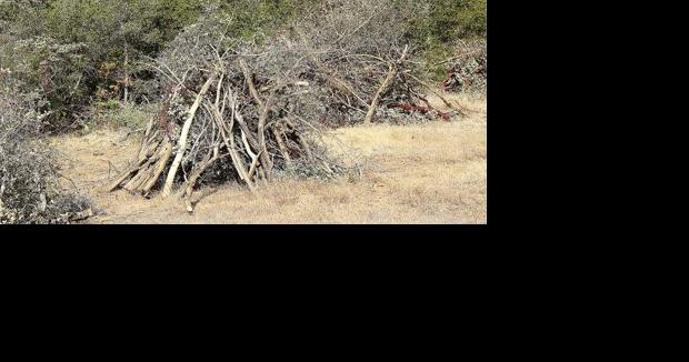Cal FIRE NEU: Burn Permit suspension lifted in Nevada, Yuba, Placer, and Sierra Counties - Vimarsana News