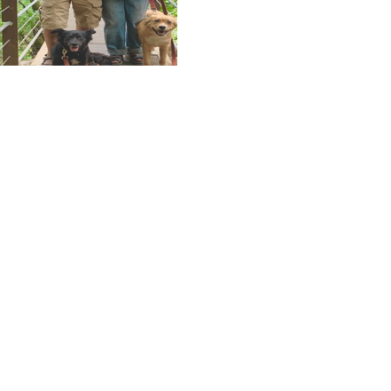 Jim Khatami enters race for Nevada City Council