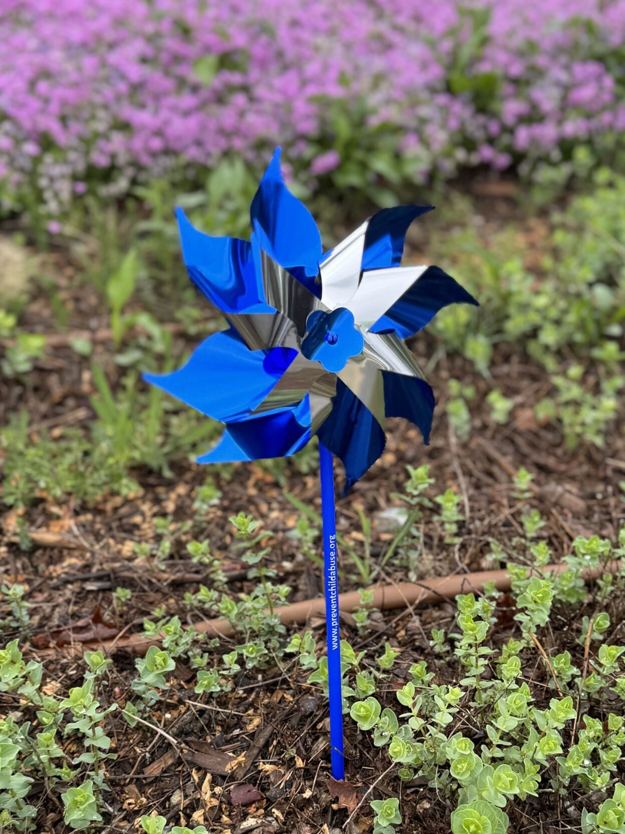The wheels keep on spinning: Blue pinwheels placed around town in ...