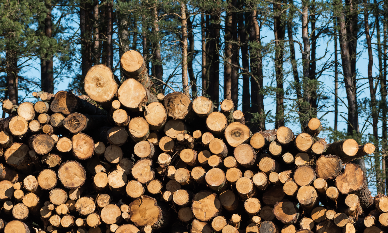 Nevada County Supervisors approve Biomass Pilot Project to improve