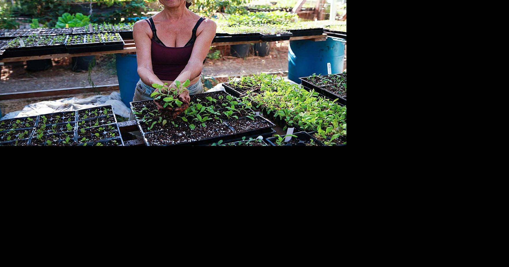 Raley’s rewards hourly team members | Business | theunion.com