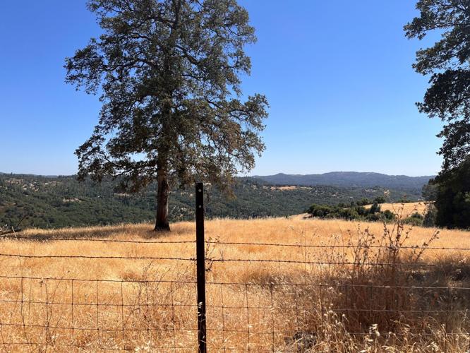 County receives grant for Lower Deer Creek Fuels Reduction Project in ...
