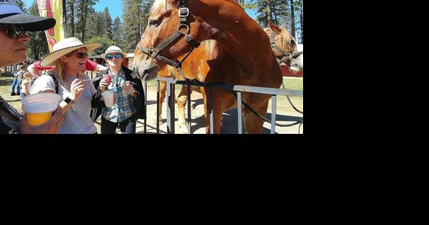 Not a one horse town: Nevada County Fairgrounds to open the gates for 35th Draft Horse Classic - Vimarsana News