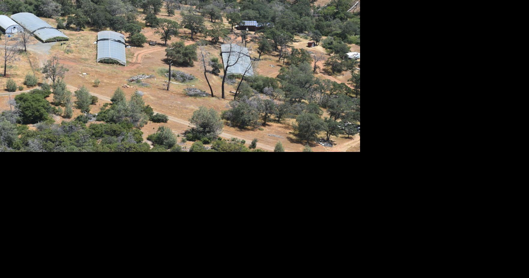 Nevada County Sheriff's Office Search warrants at illegal cannabis