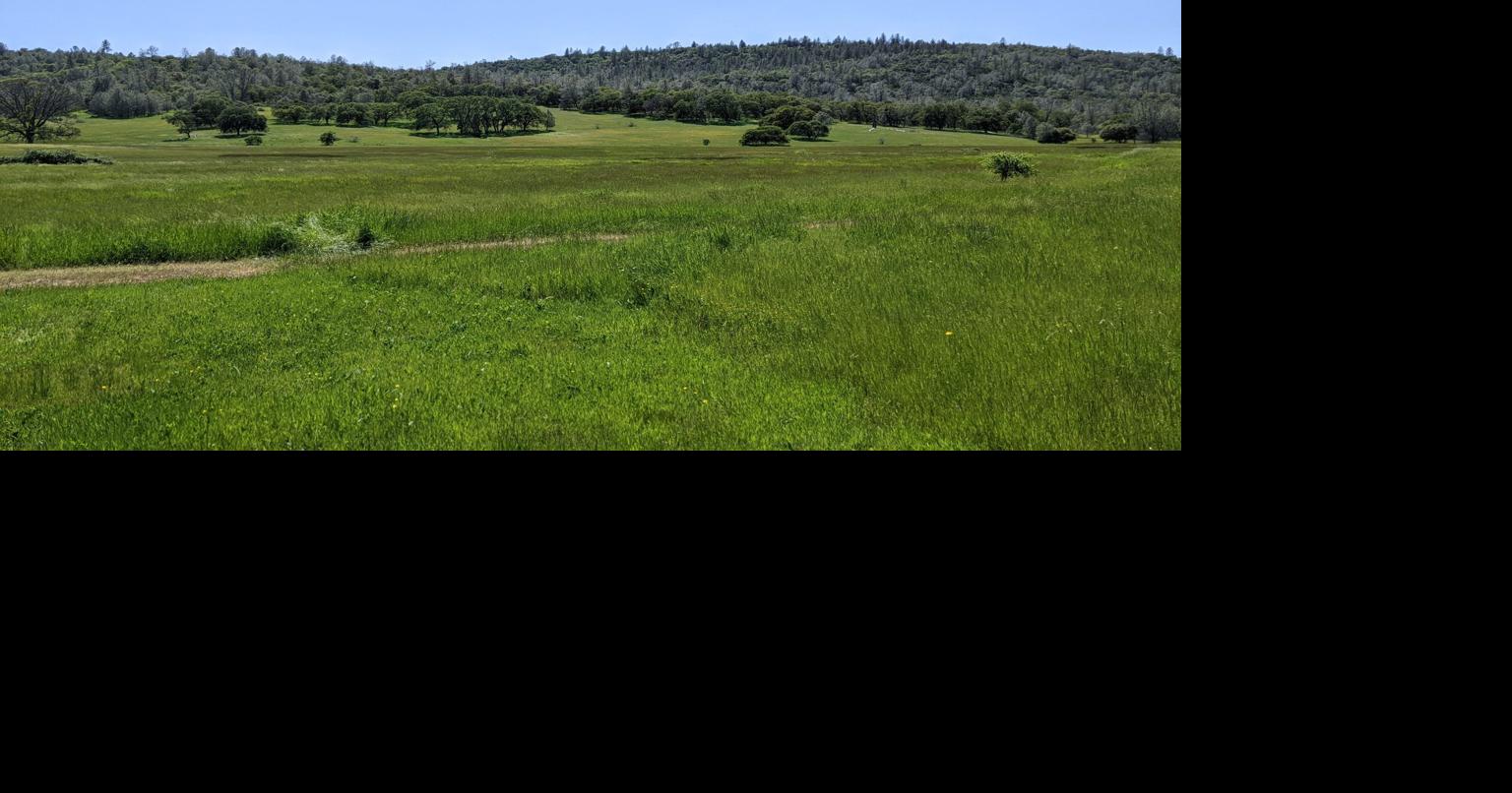 Permanently protecting rangeland & wildlife Habitat in Nevada County