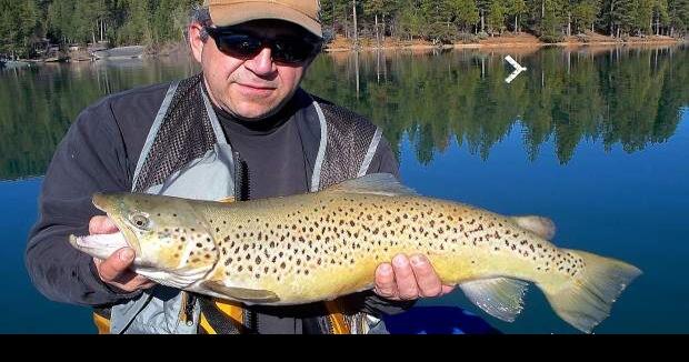 Majestic Outdoors Brown Trout Tech Tee - basin + bend