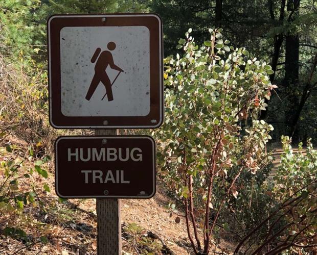 Humbug Creek Trail re-opened despite COVID challenges