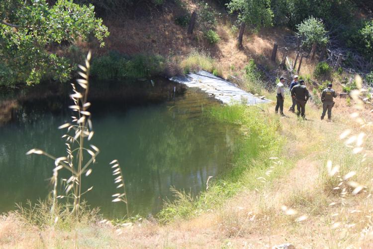 Nevada County Sheriff's Office Search warrants at illegal cannabis