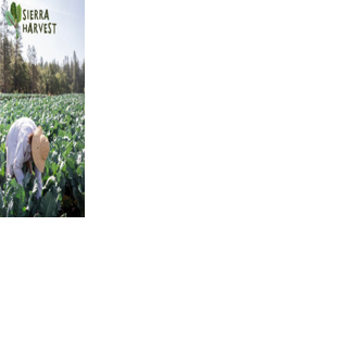 Sierra Harvest awarded 6th straight Environmental Grant from Patagonia