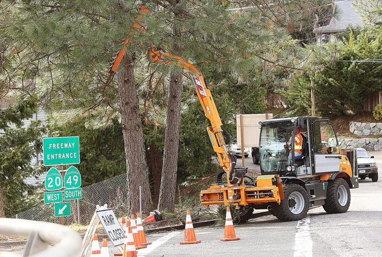 Tree branch trimming underway along the Golden Center Freeway (PHOTOS) News