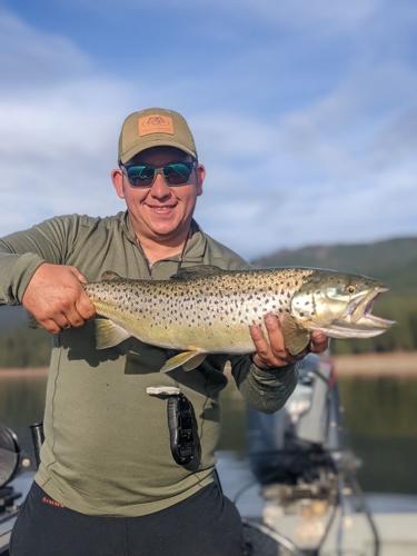 Denis Peirce: Sierra lakes for trout, Outdoors