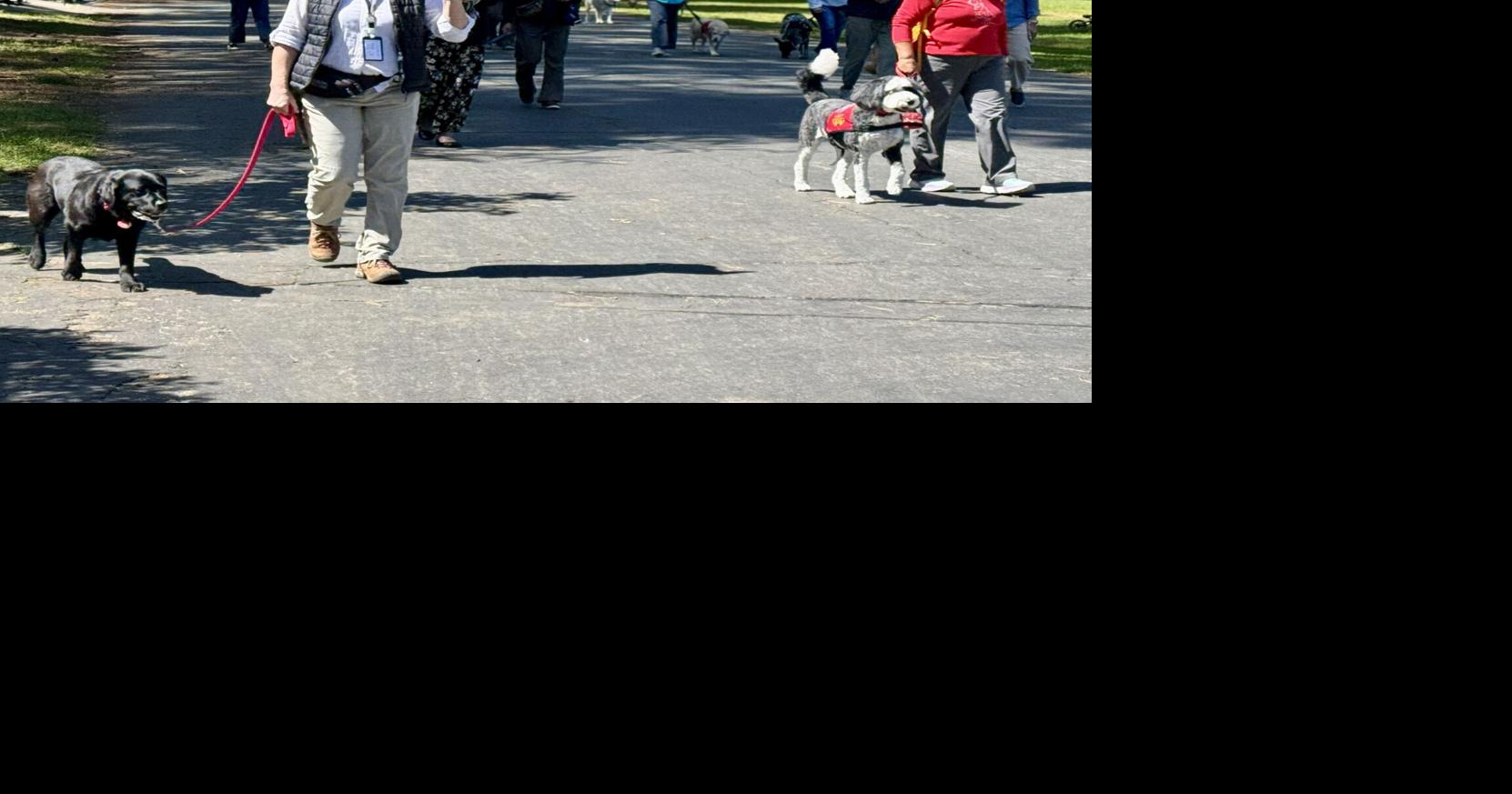 A day all their own: Therapy Animals of Nevada County celebrate special holiday