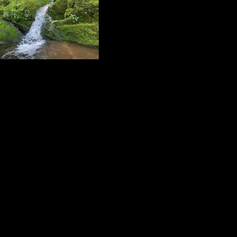 Day hiker: Stevens Trail South (Iowa Hill side)