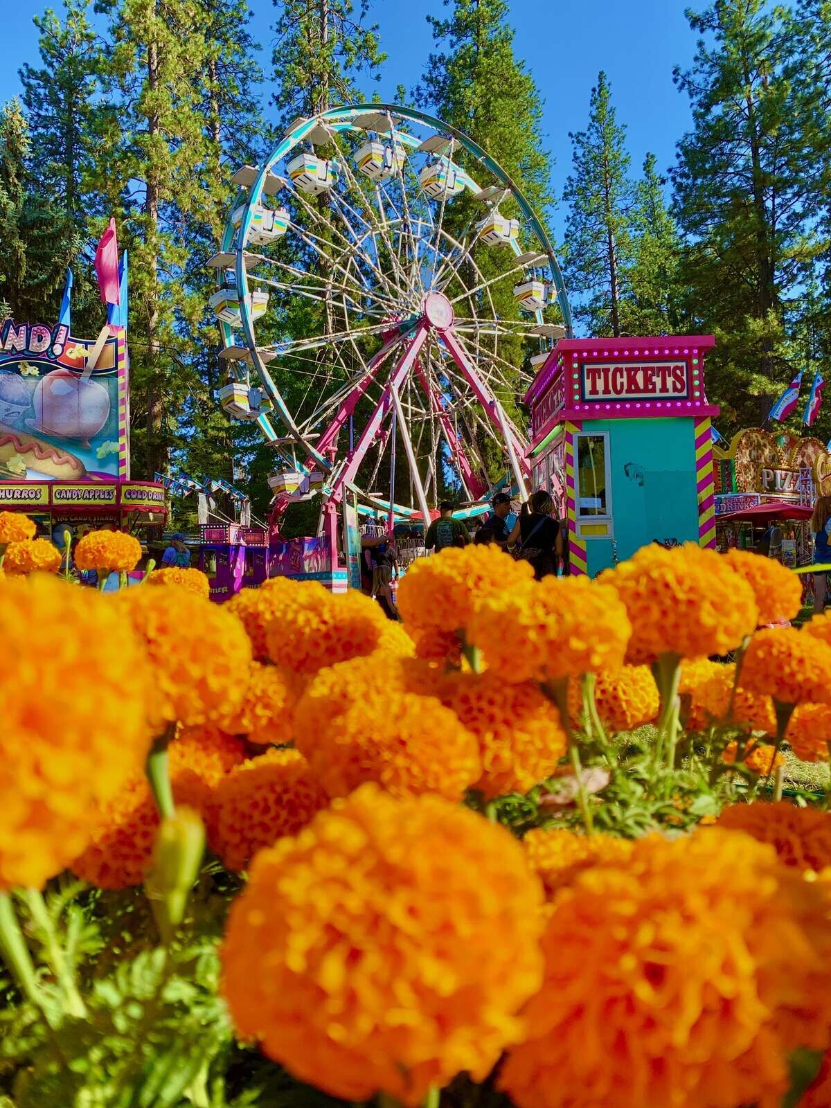 Fair Rides Nevada A 'Marigold' way to go: Nevada County Fairgrounds invites folks to be ...