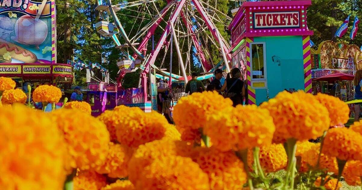 A 'Marigold' way to go: Nevada County Fairgrounds invites folks to be in the know