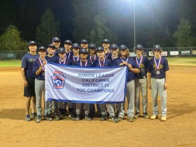 Little League: NC Brewers crush competition, win TOC title