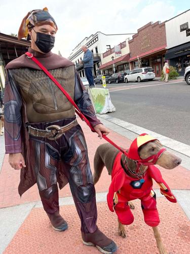 Halloween dog mob in costume: PAWS’itive Pals Dog Training announces annual parade