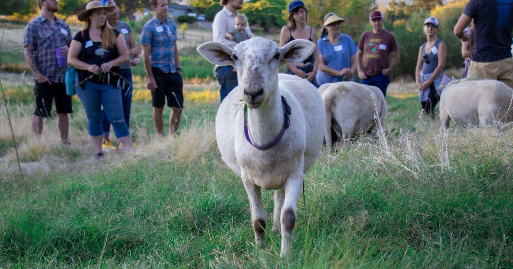 2024 Ag Skills Class Series - Vimarsana News