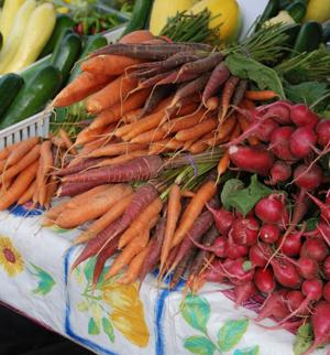 Melinda Myers: Maintain the flavor and freshness of this year’s harvest