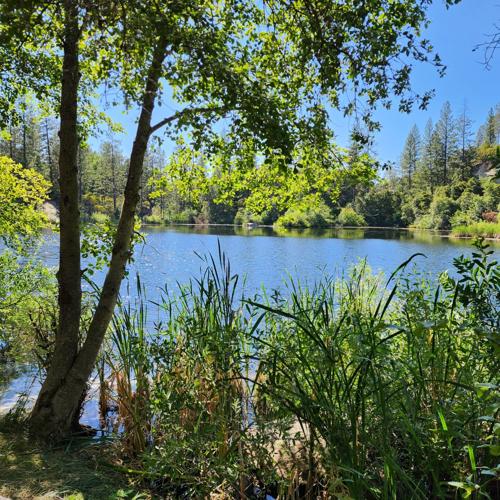 Nevada County Captures Strings Attached played at Holbrook Hoel’s bottomless BBQ event