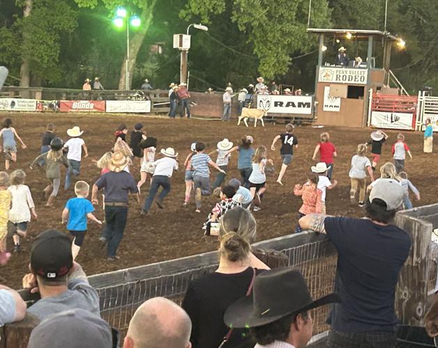 Penn Valley rodeo gets 'Back in the saddle' News