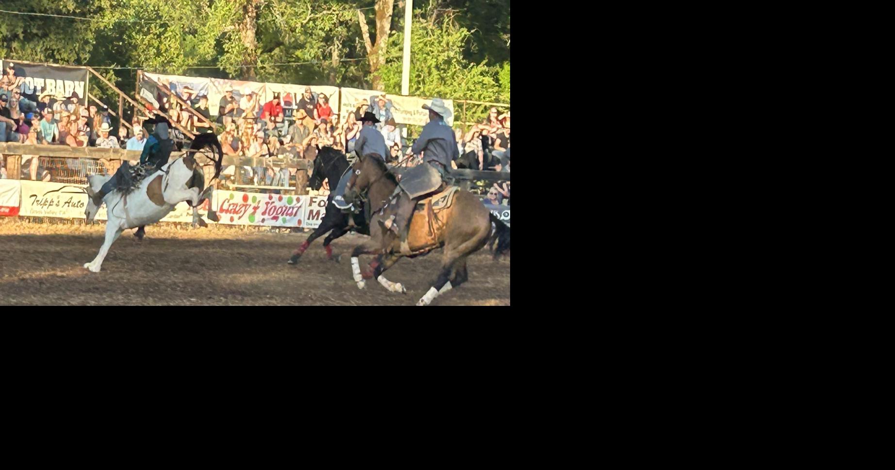 Penn Valley rodeo gets 'Back in the saddle' News