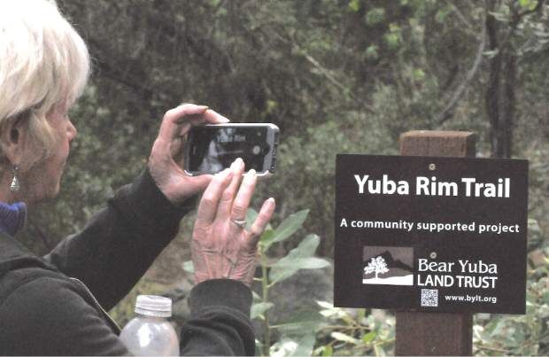 Water Bottle  Bear Yuba Land Trust