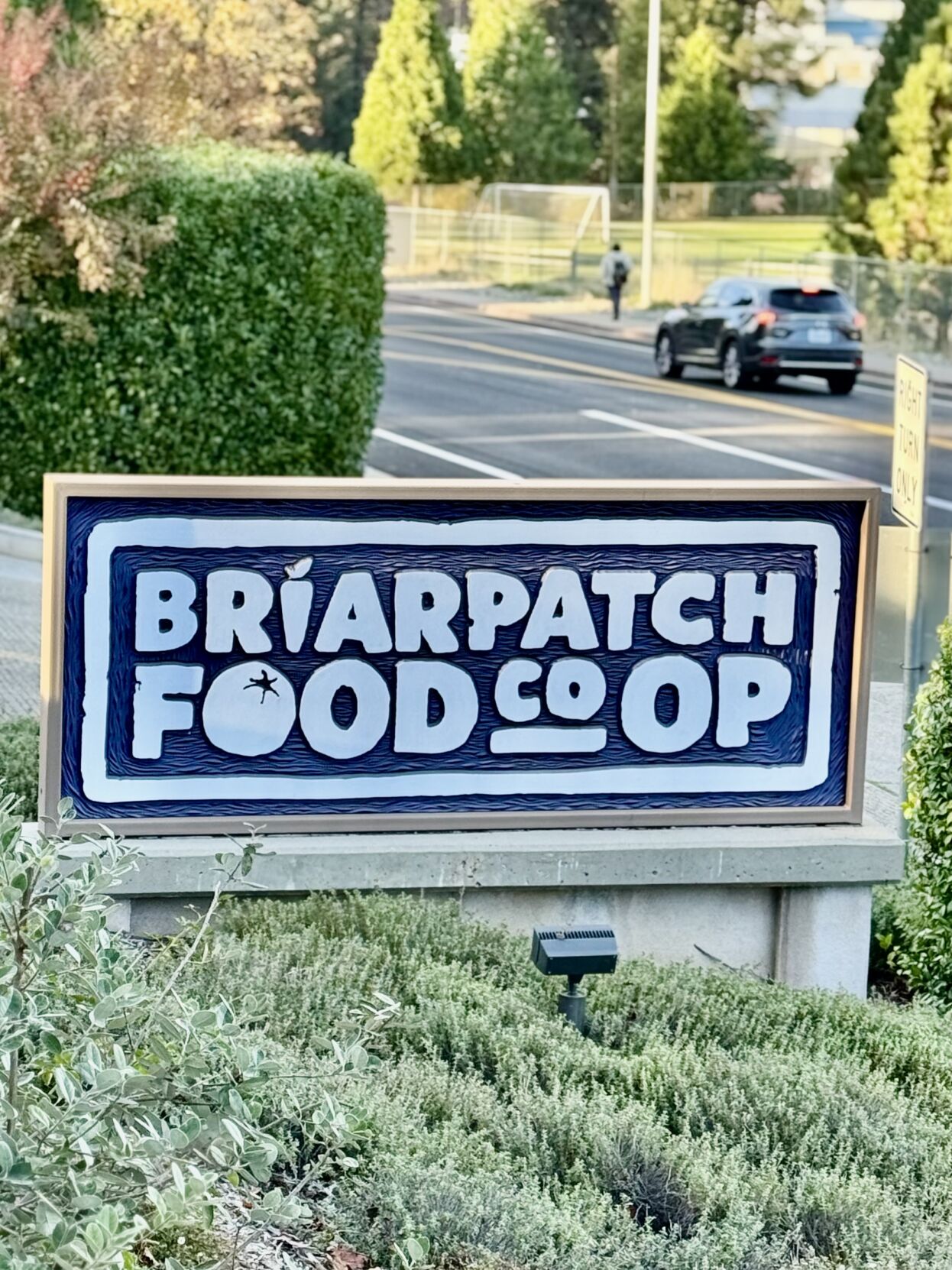 BriarPatch coop owners to feel a relief from the sting