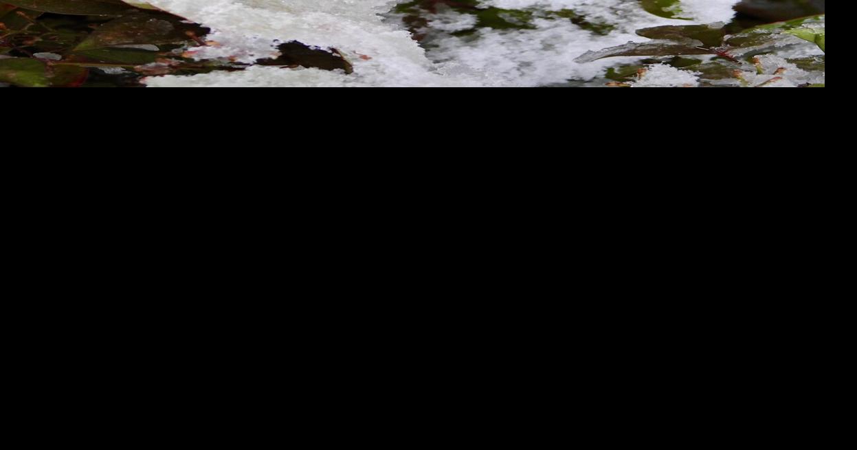 Grass Valley weather 20 chance of snow showers today, National