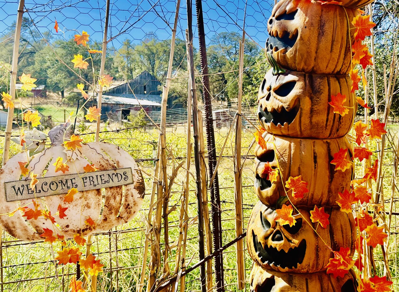 6709b509be8e2.image.jpg?crop=