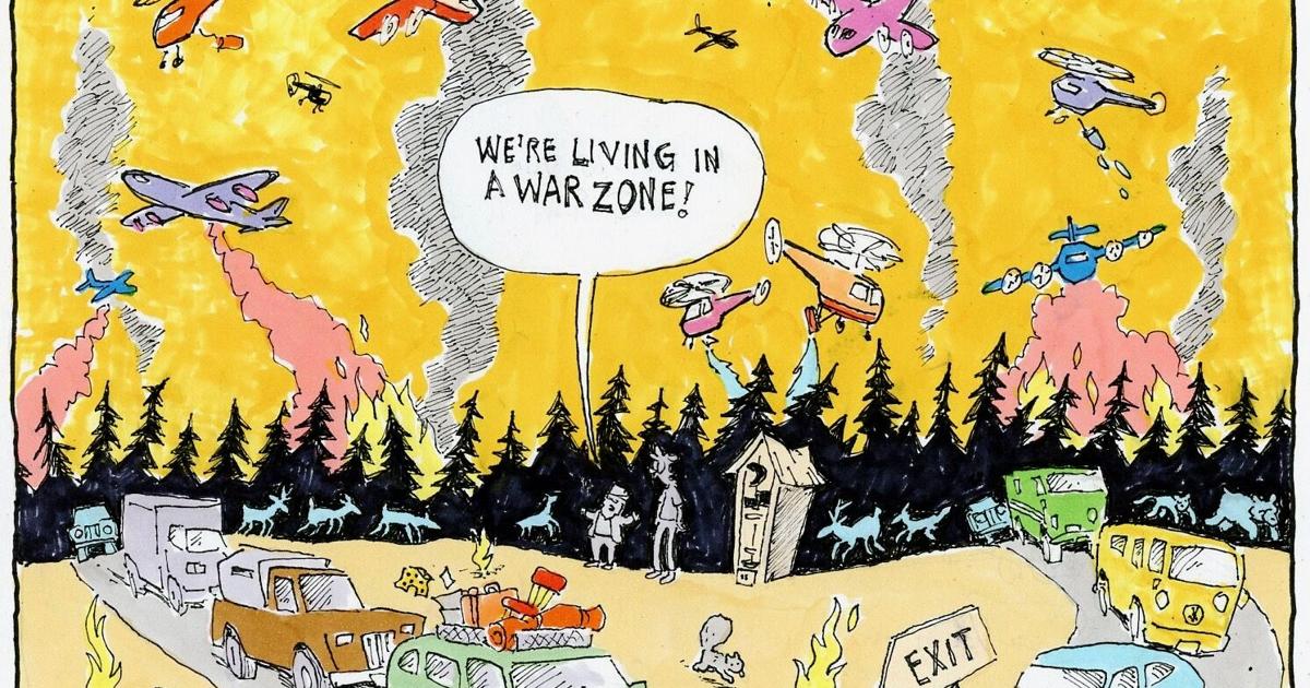 Ideas & Opinions — R.L. Crabb: It takes a village idiot