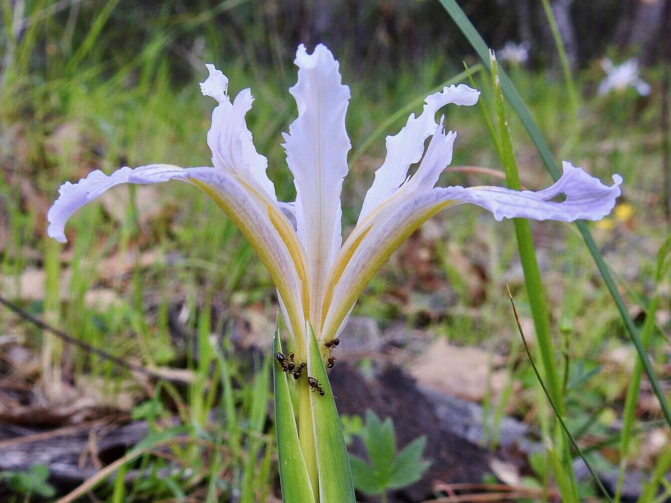 Nevada County Captures: Breathtaking | Community | Theunion.com