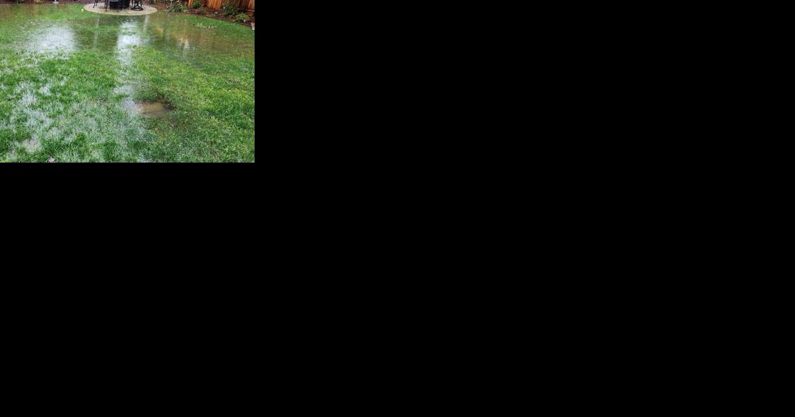 Ann Wright: Gardening after the rain - Vimarsana News