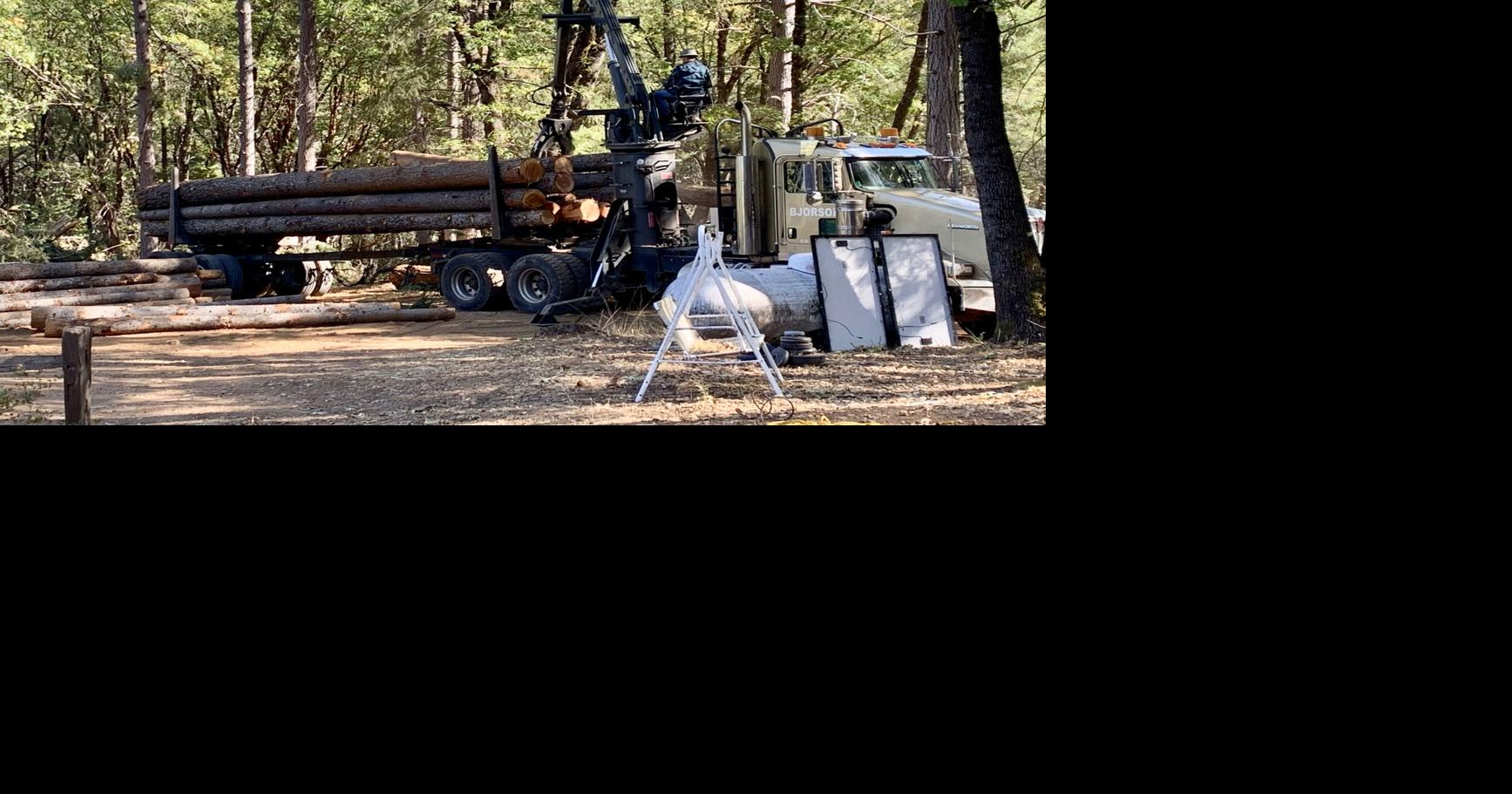 Webinar on tree removal and logging on private property this Thursday ...