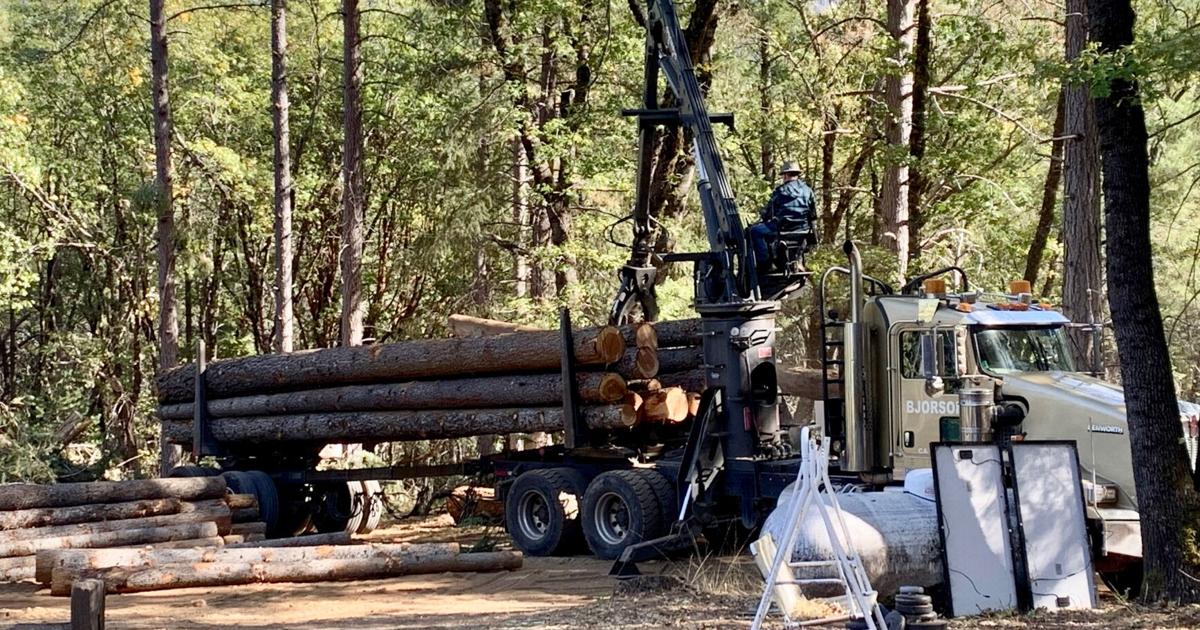 Tree Logging Site Webinar on tree removal and logging on private property this Thursday ...