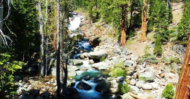 Day hiker: Signal peak