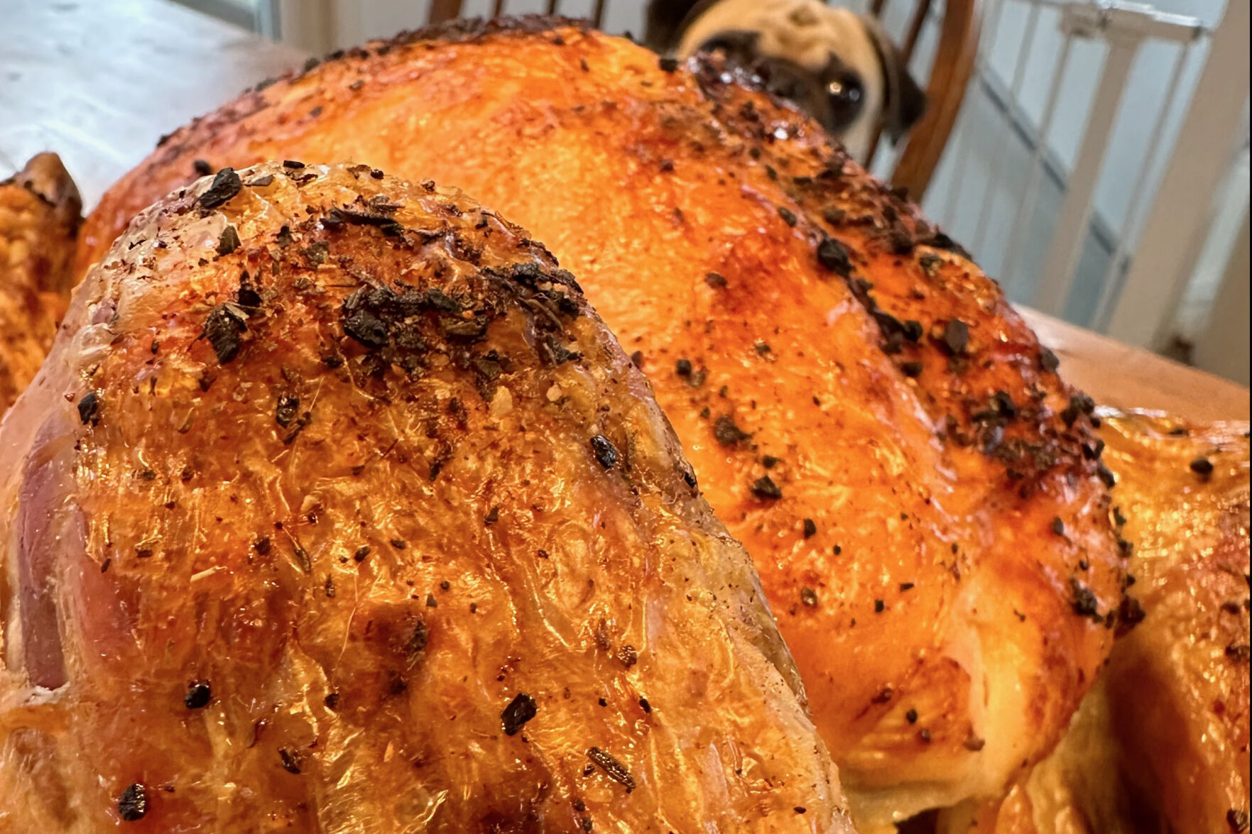 BriarPatch Food Co-op: How To Make The Best Darn Turkey Of All Time ...