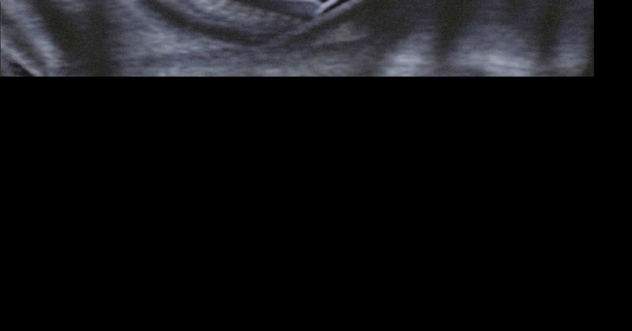 Director’s reflection on CATS’ upcoming production of Rashomon