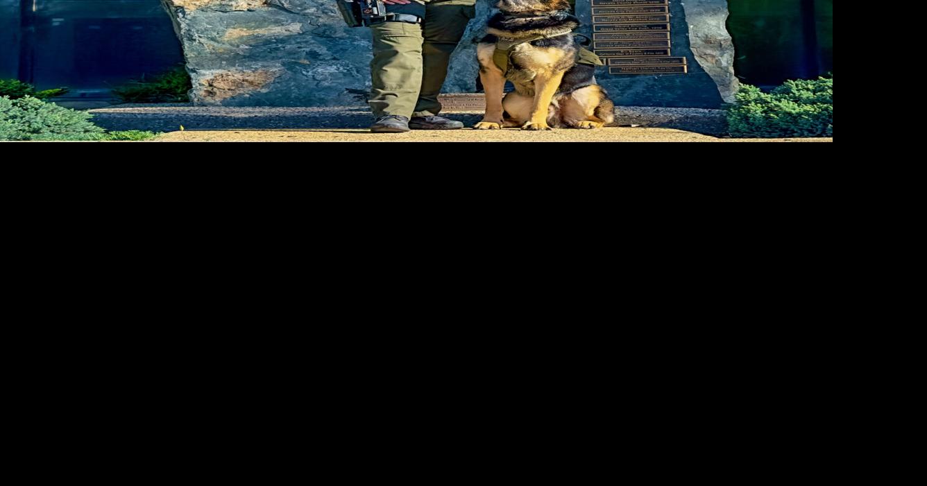 Honoring and remembering K9 Riggs | News | theunion.com