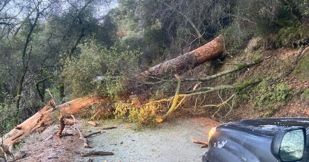 Road closures due to ice, fallen tree | News | theunion.com