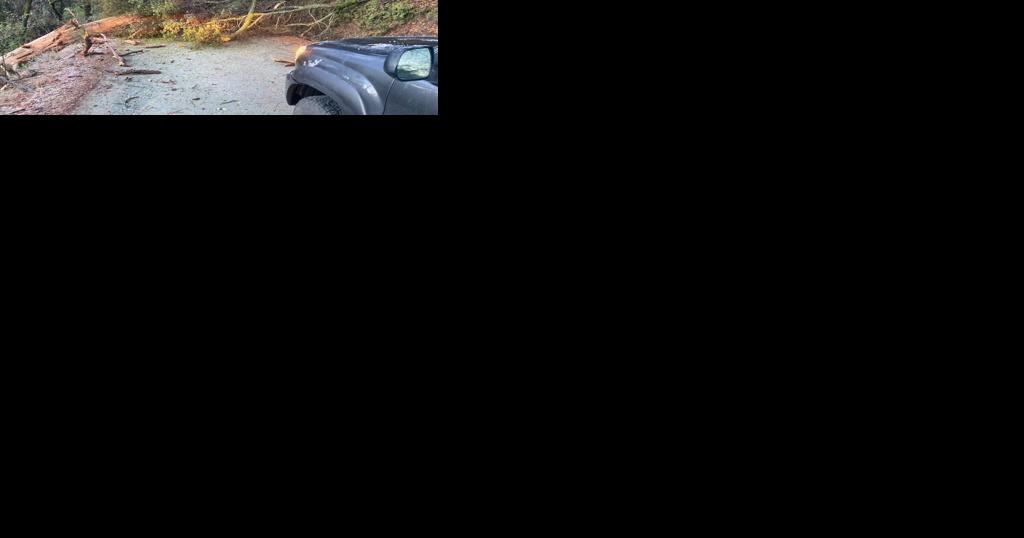 Road closures due to ice, fallen tree - Vimarsana News