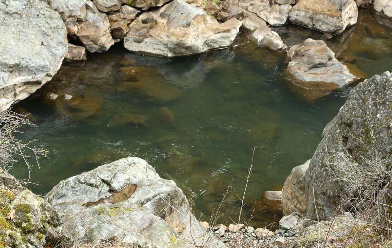 Making history Water district election sets precedent with first