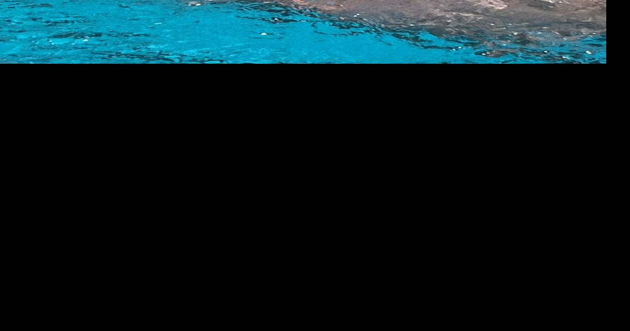 Nevada Union swim teams finish season as FVL champs