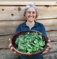BriarPatch Food Co-op: Lettuce celebrate the dawning of salad season!