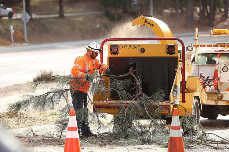 Tree branch trimming underway along the Golden Center Freeway (PHOTOS) News