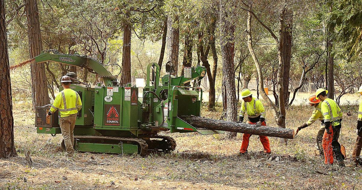 Nevada County ramping up investments in wildfire mitigation: Qualified vendors encouraged to apply